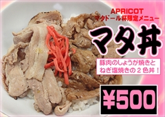 MASTERCUP